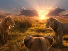 “Guarda, è una causa!” Il compositore del Re Leone fa causa al comico per la traduzione di una canzone