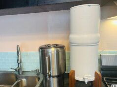 Filtri per l’acqua da banco Boroux contro Rorra, testati testa a testa