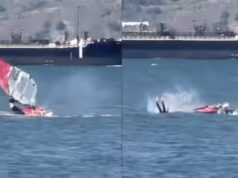 Guarda il video: Windsurfer colpisce una balena in un momento “incredibile” a metà corsa ripreso dalla telecamera