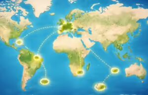 Quale paese ha 12 fusi orari nel mondo nonostante non sia il più grande in termini di dimensioni