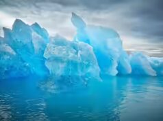 Perché la Groenlandia non ha quasi “alberi” e cosa la rende così insolita; il motivo ti sconvolgerà