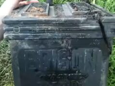 Perché l’invenzione della batteria di Thomas Edison nel 1901 sta tornando di moda nel 21° secolo