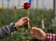 Sondaggio Fox Information: gli elettori danno scarsi voti all’economia, al Congresso e a Trump