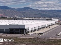 Vedova, 86 anni, tornata in Francia dopo essere stata trattenuta dall’ICE