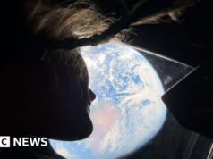 Le splendide foto della Luna di Artemide: foto scientifiche o foto delle vacanze?