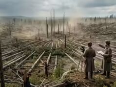 1000 volte più potente di Hiroshima: cosa accadde realmente a Tunguska nel 1908