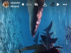 Kate Ferdinand e la figliastra Tia, 14 anni, nuotano con gli squali durante la pausa in Portogallo dopo essere fuggiti da Dubai con il marito Rio e i loro figli