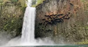 Il tecnico Andhra muore in un incidente in una cascata in California durante un viaggio con gli amici
