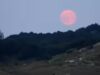La Luna Rosa apparirà presto nei cieli degli Emirati Arabi Uniti: controlla le date, gli orari, i punti di osservazione e i migliori punti del deserto da osservare