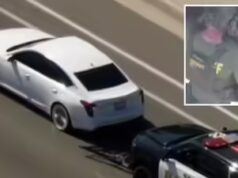 Un poliziotto americano sorpreso a usare l’app di appuntamenti durante un inseguimento advert alta velocità con un sospetto armato