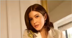 Shanaya reciterà accanto a Tiger nella commedia sugli zombie di Ahmed