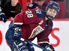 LPHF: «Il ya des gens qui pensent qu’on gagne des million!» – L’attaquante québécoise Catherine Dubois