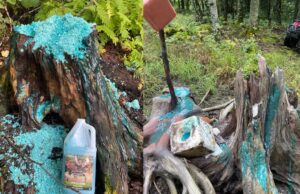 Saline: ce qu’il faut savoir…