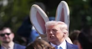 Il cessate il fuoco di Schrodinger: decodificare l’inesistente trattato di tempo nel mezzo della guerra tra Stati Uniti e Israele con l’Iran