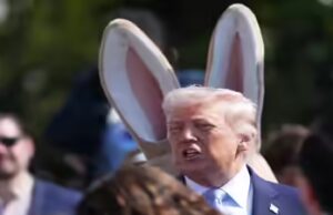 Il cessate il fuoco di Schrodinger: decodificare l’inesistente trattato di tempo nel mezzo della guerra tra Stati Uniti e Israele con l’Iran