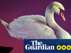 Recensione di Anohni: le magistrali reinvenzioni dei libri di canzoni sono un’esperienza fuori dal corpo