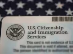 Aggiornamento Inexperienced Card: il giudice statunitense stabilisce che l’USCIS non può sospendere le domande a tempo indeterminato