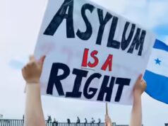 Gli Stati si oppongono alla regola del lavoro in materia di asilo: la coalizione sollecita il DHS advert eliminare il piano Trump; avvisano di un colpo di 126,6 miliardi di dollari