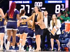 Kelly Morrone nominata allenatrice di basket femminile advert Albany