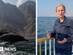 “Siamo sull’orlo di un campo di battaglia”: riferisce la BBC vicino allo Stretto di Hormuz