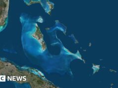 La polizia delle Bahamas cerca una donna americana che, secondo quanto riferito, è caduta dalla barca