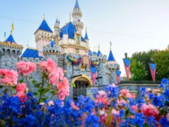 Novità a Disneyland: il tuo volto, riconosciuto all’ingresso
