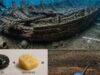 Un relitto romano di 2.200 anni fa rivela la method segreta che teneva a galla le navi antiche