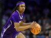 Il Kentucky aggiunge il trasferimento di Furman Alex Wilkins