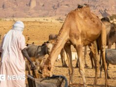 Almeno 42 persone uccise in Ciad dopo l’escalation della disputa sui pozzi d’acqua