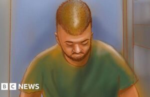 Il presunto uomo armato di Bondi perde la richiesta del tribunale di sopprimere i nomi della sua famiglia