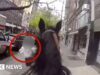 Un agente a cavallo insegue il sospetto per le strade di New York