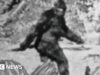 I ricercatori hanno trascorso anni intervistando 160 cacciatori di Bigfoot: questo è ciò che hanno imparato