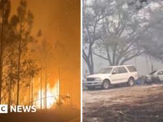 Centinaia di incendi bruciano in tutta la Florida e la Georgia