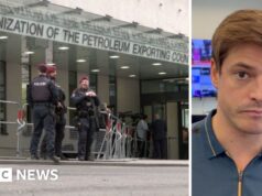 Perché gli Emirati Arabi Uniti hanno lasciato l’Opec – e perché questo è importante?