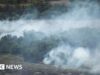La perdita globale di foreste rallenta, ma gli incendi dovuti a El Niño potrebbero minacciare il progresso