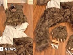 Tre condannati per truffa assicurativa “uomo vestito da orso”.