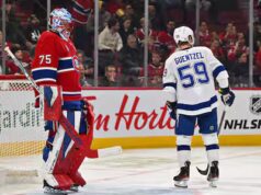 Jakub Dobes non ha creato Andrei Vasilevskiy e il Fulmine