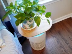 Come la mia casa intelligente è diventata la mia migliore difesa contro le brutali allergie primaverili e contro i pollini