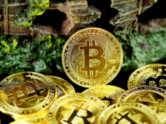 Il Bhutan sposta 519 Bitcoin su più portafogli, incluso QCP Capital Hyperlink