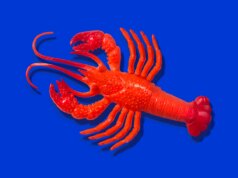 Anthropic afferma che gli abbonati a Claude Code dovranno pagare un additional per il supporto di OpenClaw