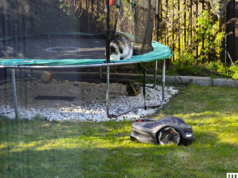 I rasaerba robotizzati sono davvero utili adesso