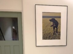 Recensione InkPoster Tela 28.5: una cornice digitale domestica di lusso