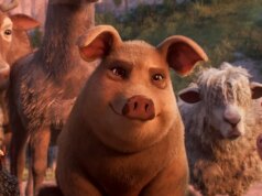 MAGA è confusa riguardo alla “fattoria degli animali”