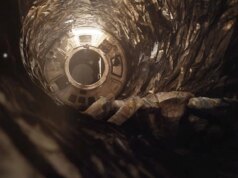 Ora puoi guardare Rocky di “Challenge Hail Mary” dormire con l’accompagnamento perfetto