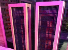 Cosa devi sapere sulla costruzione di una sauna all’aperto (2026)