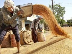 Congresso, organismi di agricoltori criticano il governo parlamentare per il ritardo nell’approvvigionamento del grano; Il BJP accusa la carenza di borse a causa della guerra nell’Asia occidentale