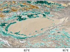 La Cina sta cercando di far crescere nuove foreste in questo famigerato mega-deserto. Funziona