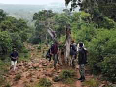 Telangana implementerà un sistema basato sull’intelligenza artificiale per le operazioni di sorveglianza nella riserva delle tigri di Amrabad