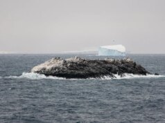 Una spedizione antartica nella “zona pericolosa” scopre accidentalmente un’isola precedentemente inesplorata