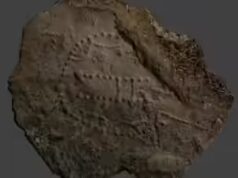 Una struttura millenaria trovata sotto il mare norvegese potrebbe rivelare come un tempo venivano intrappolate le balene